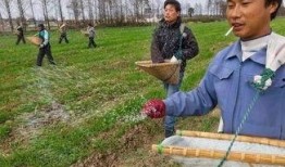 假化肥农药爆料最新消息,最新爆料揭露行业乱象