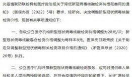 核酸价格爆料最新消息,核酸价格动态调整，最新行情一览