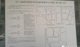 大浪新围最新爆料,最新爆料背后的惊人真相