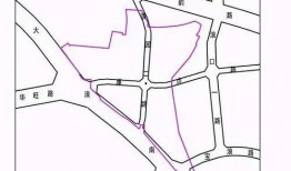 大浪新围最新爆料,最新爆料背后的惊人真相