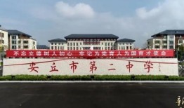 安丘最新爆料新闻视频