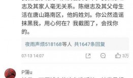 河北陈继志爆料案件最新,揭开河北涉黑势力背后的惊人真相